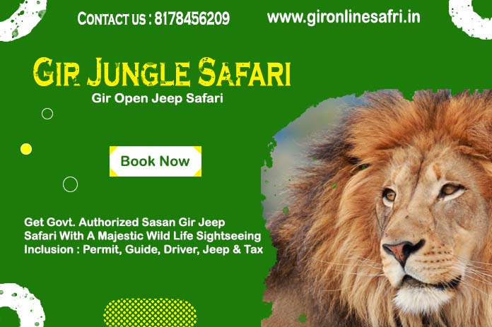 gir safari details