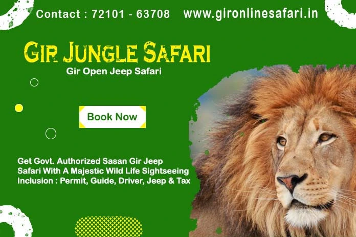 Gir Jungle Safari booking details