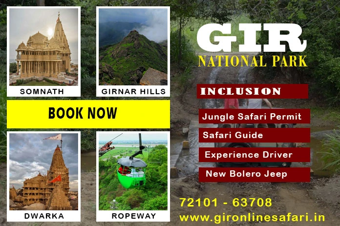 Devalia Safari and Gir Safari booking details