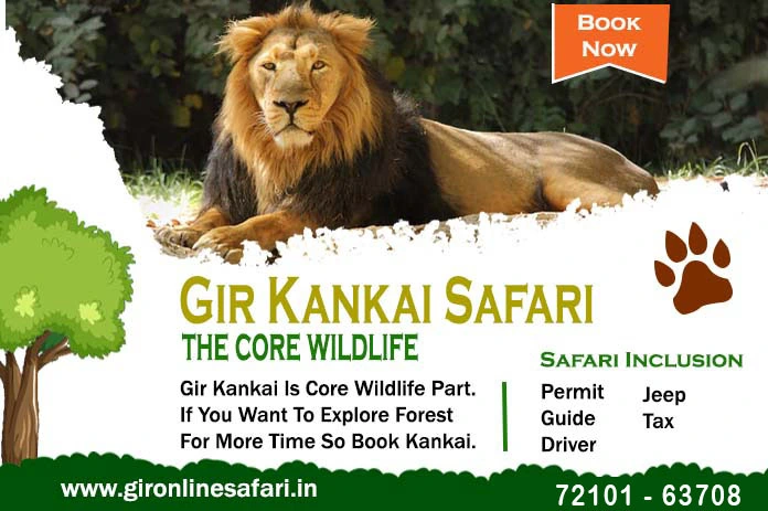 Kankai Safari and Gir National Park Safari booking details